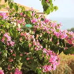 Апартаменты Cap Esterel Village Duplex Vue Et Golf *