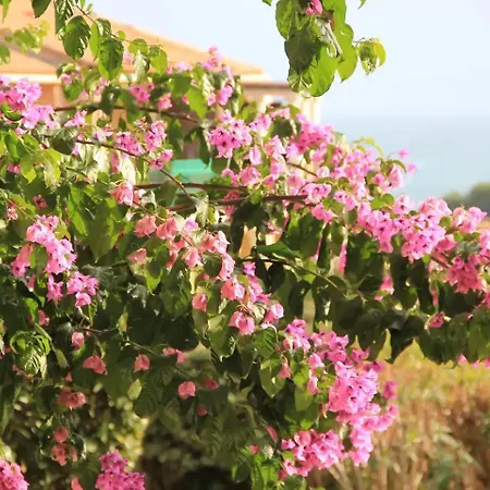 Apartamento Cap Esterel Village Duplex Vue Et Golf *