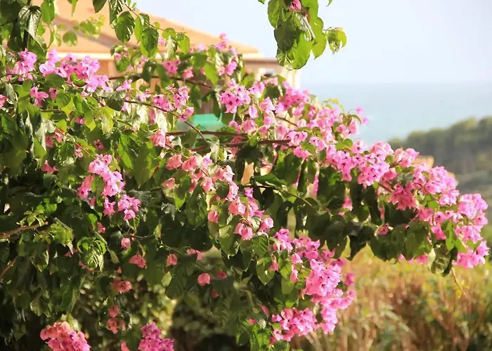 Apartamento Cap Esterel Village Duplex Vue Et Golf *